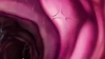 Tentacle Drilling of Coeds in Hentai Heaven