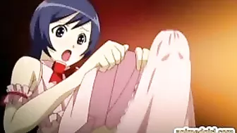 Hentai Shemale Handjobs and Oral Sex - A Titillating Experience for Fans