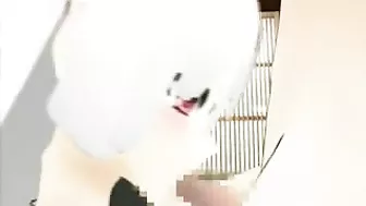 Monster Shemale Hentai Gets Ridden by Other Shemales in this Explosive Video!