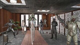 Fallout 4 taboo hentai with sexy lingerie and sexier people that flaunt it