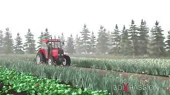 Awesome big thick dick that is making her scream in pleasure at the farm