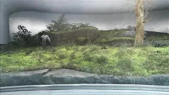 Fallout 4 Real nice thick cock slides easily in her sweet hole to get her off Fallout 4 Real nice thick cock slides easily in her sweet hole to get her off