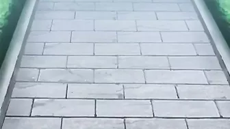 Hentai hotness featuring two girls that appreciate hardcore futanari banging