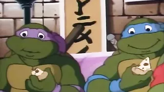 This would certainly keep the guys horny for days together - TMNT hentai