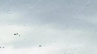 Dragon Knight 3 - Hentai scene with a great plot and lots of passionate riding Dragon Knight 3 - Hentai scene with a great plot and lots of passionate riding