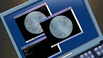 Vampire hentai scene with a fun plot and lots of passionate fucking as well