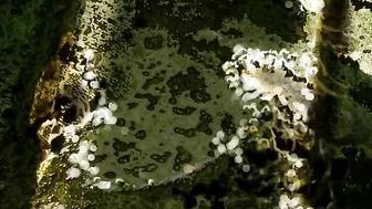 Revealing sex session that shows how everyone needs to fuck and cum and stuff