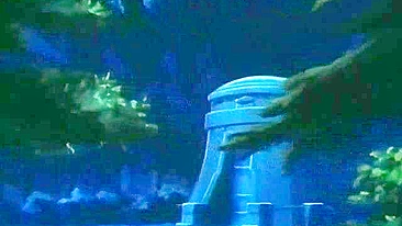 She wants to get fucked right there in the woods and it is fucking mental