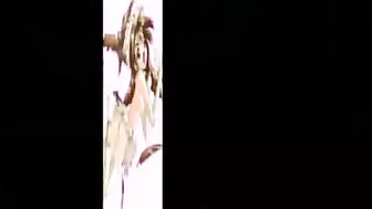 Her hot young body is like a dream come true to all the fans of hard hentai