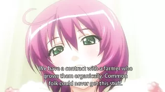 One perverted man seeks to create a harem of women with large breasts on an adult hentai website.