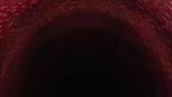 A demonic creature with tentacles violently copulates with a cat-like girl until she conceives its infernal offspring.