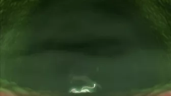 A demonic creature with tentacles violently copulates with a cat-like girl until she conceives its infernal offspring.