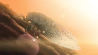 Busty hentai pregnant girl gets double-penetration by tentacle.