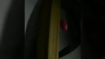 The trainer brutally ravaged his Pokémon in hentai-style.