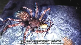 Annecy's widowed lover is sexually assaulted by a group.