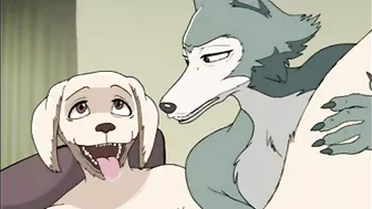 Legendary hentai anime series Beastars features a steamy scene between Jack and Legoshi with explicit anal action.