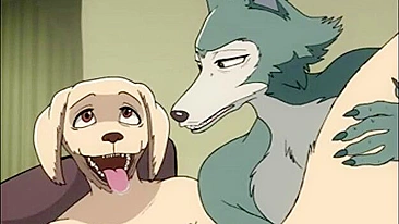 Legendary hentai anime series Beastars features a steamy scene between Jack and Legoshi with explicit anal action.