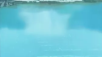 Hentai video - Futanari threesome with a hero licking a queen's pussy.