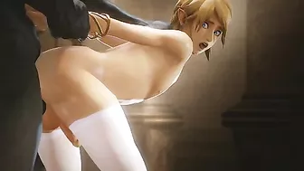 Legend of Zelda gets fucked in a hentai 3D sex compilation.