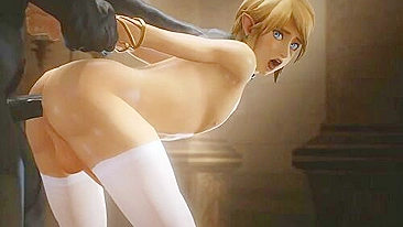 Legend of Zelda gets fucked in a hentai 3D sex compilation.