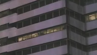 Hentai pop idol with futa dick and cock-riding fans.