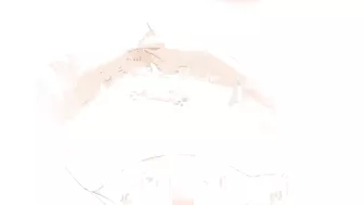 Naughty school trip to nude beach ends in dirty gangbang with horny teachers. #Hentai