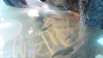 Hentai video - Don Corneo's Underground Arena - Tifa Lockhart and Honoka get gangbanged by monsters.