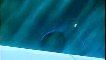 A father saves his daughter from being sexually assaulted by animals in a hentai film.