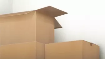 Suddenly living together in close quarters leads to a steamy first sexual experience. Suddenly living together in close quarters leads to a steamy first sexual experience.