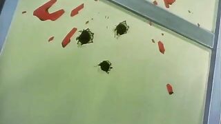 A college girl assassin in an old-school hentai film takes down a gangster.