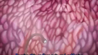 Hentai tentacle monsters attack a magical school and have sex with the students.