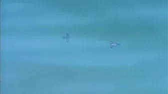 Sexy succubus enslaves and pleasures with her demonic cock in hentai anime.