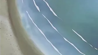 Horny hentai lesbians licking each other's pussies on a public beach.