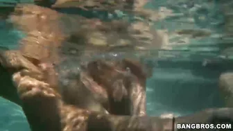 Three young ladies Daisy, Alannah Monroe, and Mercedes Lynn have fun in the pool