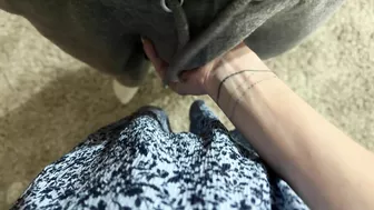 Let me lick your pussy and shoot my load on your sexy cum-stained panties. Let me lick your pussy and shoot my load on your sexy cum-stained panties.