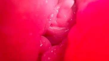 Sexy girl receiving oral pleasure in high definition.