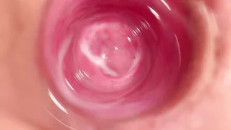 Camera captures intimate moment from within Lena's vagina. Camera captures intimate moment from within Lena's vagina.