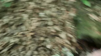 Interrupted blowjob in forest caught by strangers.