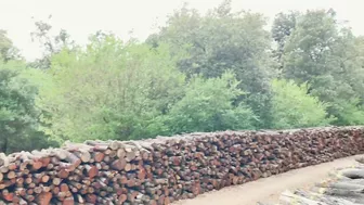 Sexy teen with big tits and hairy pussy gets creamy cumshot.