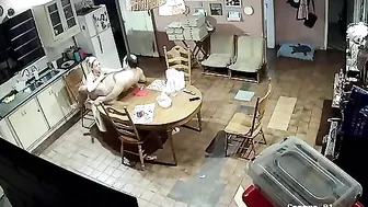 Spy movie showing a horny European step siblings couple that fucks happily