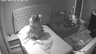 Lovely US couple showing their lust in free online porn movie with riding
