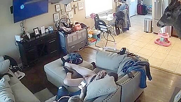Passionate teens are caught having sex on a hidden cam by her naughty brother
