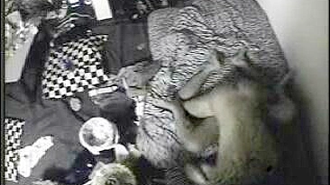 Amateur Asian Girlfriend Hidden Cam Reveals Moaning Petite with Small Tits