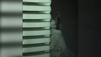 College Amateurs' Hidden Cam Voyeurism in Public Outside College Amateurs' Hidden Cam Voyeurism in Public Outside