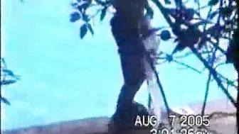 Spying on Hidden Interracial Outdoor Sex by the Pool