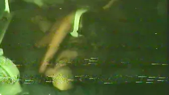 Spy on My GF and Lil Sister Hidden Cam Cowgirl Action!