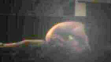 Spying on My Asian Neighbor Hot Body Cowgirl Fuck Session