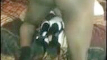 Submissive Amateur Interracial Anal Bbc