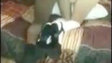 Submissive Amateur Interracial Anal Bbc