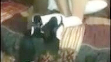 Submissive Amateur Interracial Anal Bbc